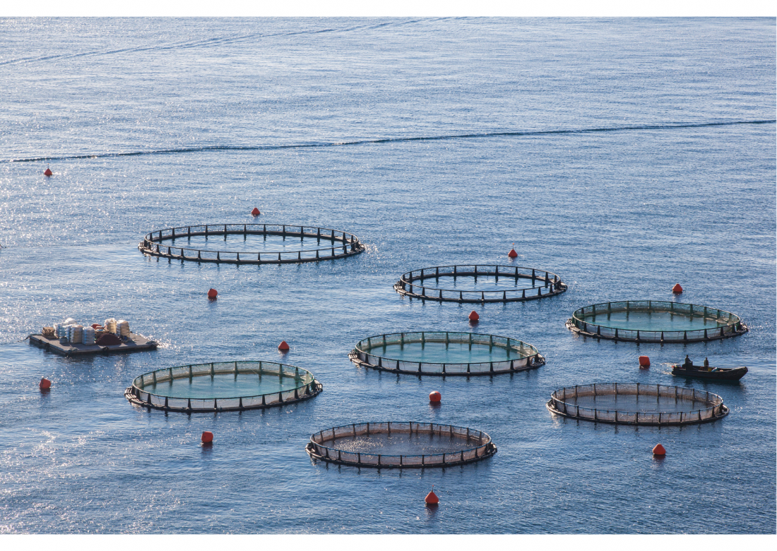 Aquaculture Ecosystem