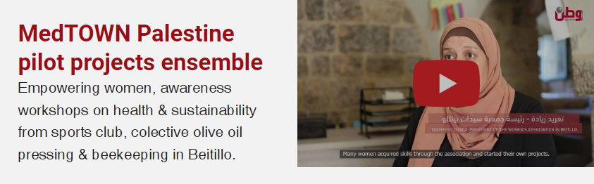 MedTOWN Palestine pilot projects ensemble