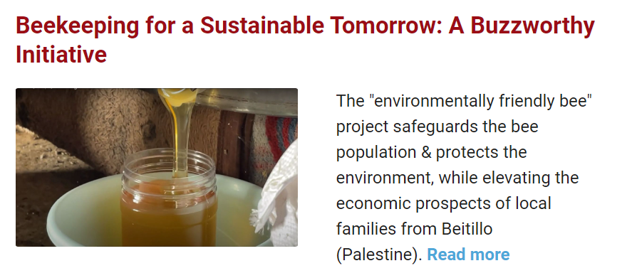 Beekeeping for a Sustainable Tomorrow: A Buzzworthy Initiative