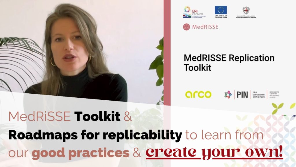 MedRiSSE toolkit & roadmaps for replicability to learn from our good practices and create your own!