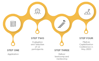 How the selected participants will interact with investors and partners